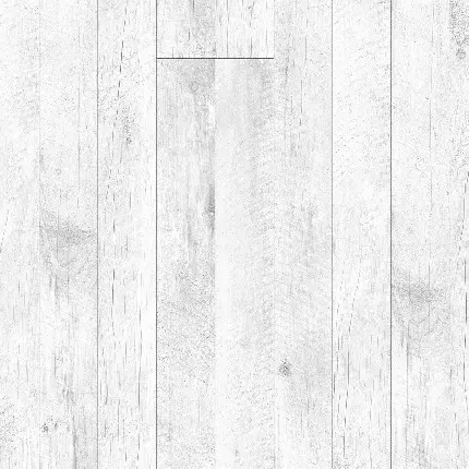 بک گراند سفید کیوت