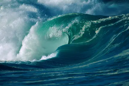 دستگیری شکار لحظه های زیبا از امواج اقیانوس