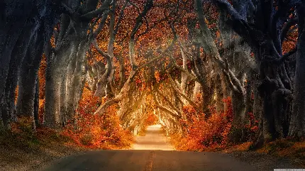 عکس غروب زیبا برای پروفایل