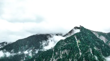تصویر زمینه 6K کوهستان سرسبز در دل ابرها برای لپ تاپ