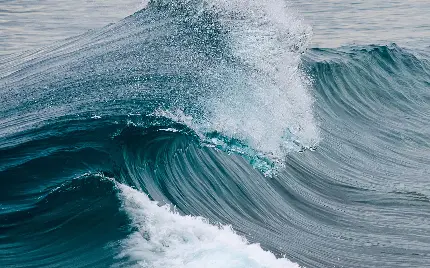 عکس دیدنی از شکوه عظمت موج اقیانوس