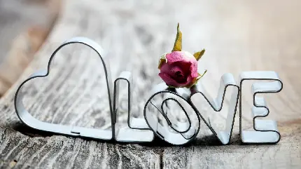 والپیپر دوست داشتن با تصویری زیبا از نوشته و قلب و گل رز سرخ