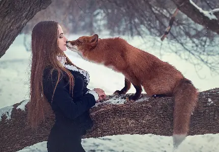 عکس دختر زیبا و قشنگ در کنار روباه قرمز وحشی در جنگل و زمستان