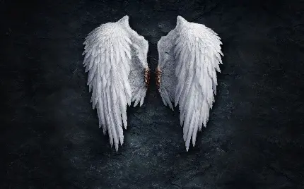 مجموعه عکس بال فرشته برای پروفایل و هایلایت اینستاگرام