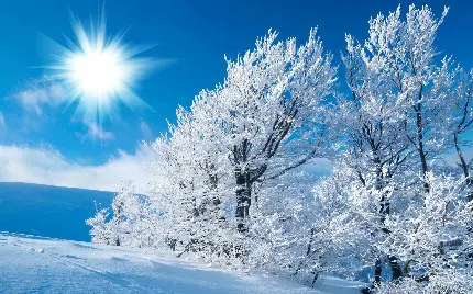 عکس پروفایل زمستانی خاص، جذاب و زیبا برای والپیپر گوشی آیفون