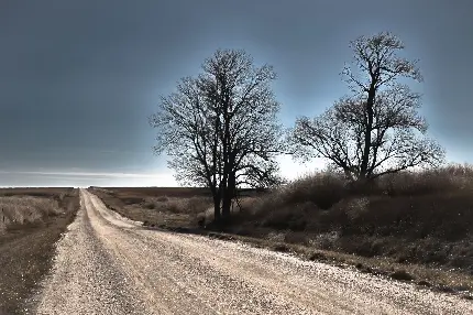 عکس جاده خاکی در بیابان با کیفیت 7K مخصوص کامپیوتر