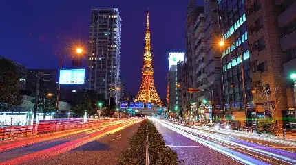 عکس حرفه ای خیابان منتهی به برج معروف توکیو از نمایی جالب