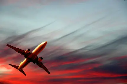 زمینه خاص و با کیفیت پرواز هواپیما در آسمان نارنجی رنگ غروب برای لپتاپ