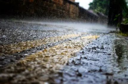 عکس جاده بارانی دخترانه شیک