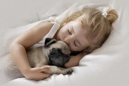 تصویر زمینه دختر بچه دوست داشتنی به همراه سگ کوچولوش در خواب شیرین
