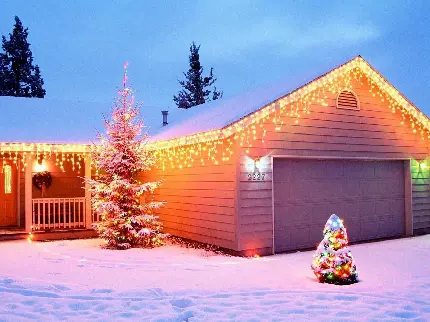 والپیپر و تصویر زمینه از طبیعت فصل زمستان و درخت کریسمس به مناسبت سال نو