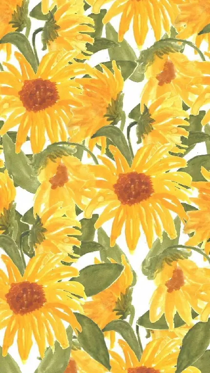 عکس گل های زیبای آفتابگردان برای چاپ بر روی کاغذ و پوستر رنگی