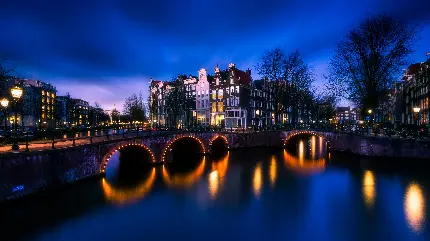 تصویر زمینه 11K منظره شهری آمستردام در شب مخصوص لپ تاپ