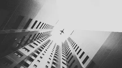 جالب ترین تصویر سیاه سفید پرواز هواپیما بر فراز ساختمان های بلند با کیفیت HD