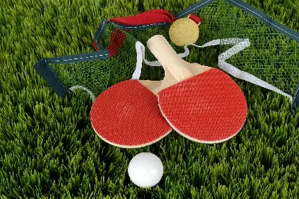 عکس راکت و توپ تنیس برای پروفایل HD