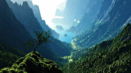 تصویر زمینه کوه و کوهستان بسیار زیبا و پوشیده از درخت برای گوشی