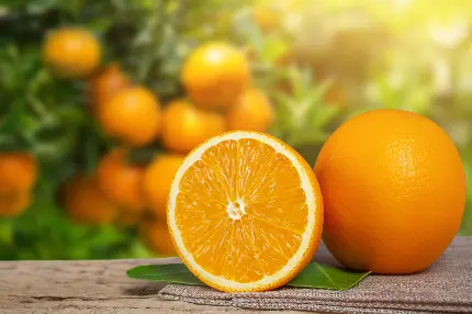 عکس تکه های پرتقال همراه با پوست آن با طراحی جذاب