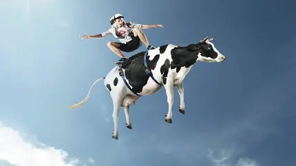 عکس فانتزی و جالب با موضوع پرواز یک گاو با یک پسر برای والپیپر گوشی
