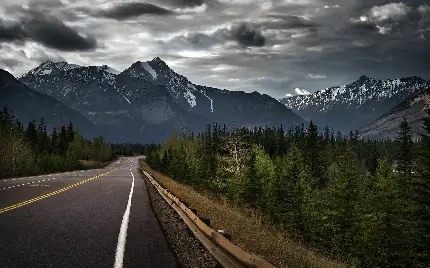 تصویر زمینه منظره زیبای طبیعت سرسبز مراتع کوهستانی برای گوشی آیفون