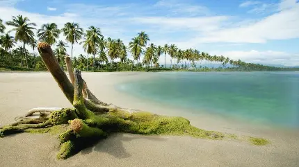 تصویر زمینه از ساحل بی نظیر برای دسکتاپ با کیفیت full hd