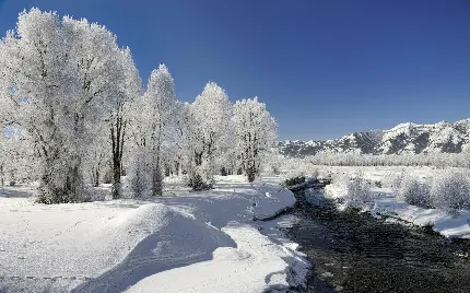 عکس فصل زمستان برای چاپ بر روی کاغذ و بنر سایز بزرگ به صورت رنگی