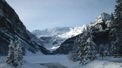 تصویر زمینه کوهستان و درختان غرق در برف در فصل سرد زمستان