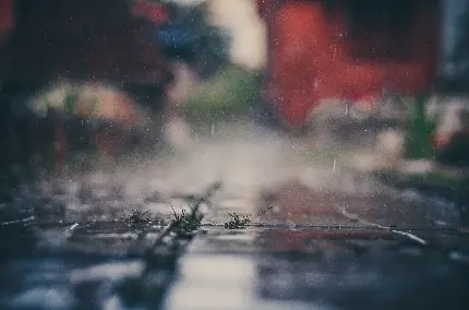 والپیپر بارش باران بهاری با کیفیت 5K مخصوص ویندوز 11