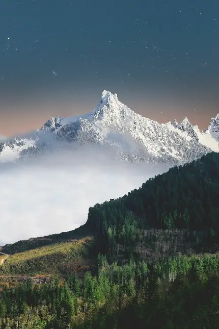 دانلود تصویر زمینه آیفون ۱۱ و آیفون ۱۱ پرو با کیفیت HDR با طرح جنگل و کوه های برفی