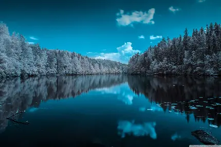عکس 7K دریاچه یخ زده و درختان پوشیده از برف برای کامپیوتر