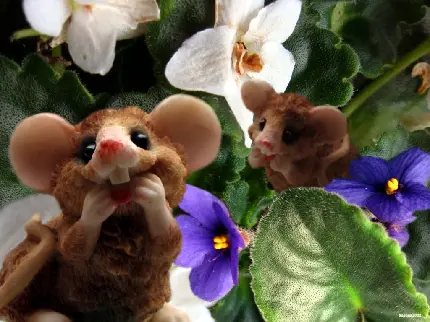 تصویر از موش های بازیگوش در میان گل ها
