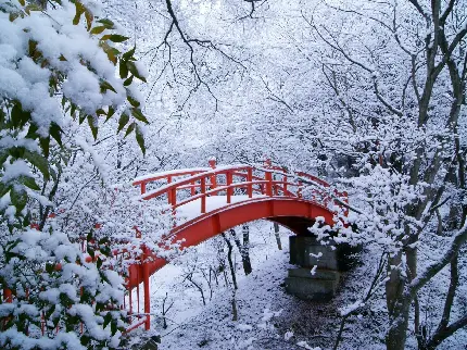 عکس منظره برفی و طبیعت زمستانی با کیفیت بالا و پل زیبای قرمز رنگ در دل جنگل