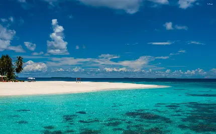 دوست داشتنی ترین والپیپر اقیانوس آبی برای ویندوز 10 و 11