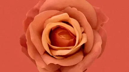 زیباترین تصویر زمینه گل رز با کیفیت 11K مخصوص دسکتاپ