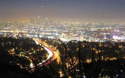 تصویر مرکز شهر لس آنجلس با برج های تجاری در پس زمینه