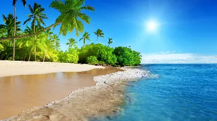 دانلود پس زمینه ساحل اقیانوس خوشرنگ با درختان نخل در روز آفتابی