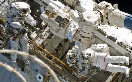 عکس جدید فضانوردان ناسا در حال انجام تحقیقات فضایی
