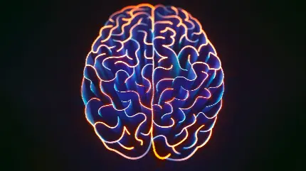 والپیپر مغز انسان با کیفیت 4K