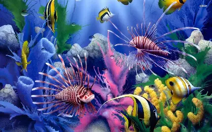 تصویر زمینه اچ دی ماهی های رنگ رنگ اقیانوس 