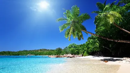 دانلود والپیپر ساحل Beach wallpaper با کیفیت عالی مناسب دسکتاپ