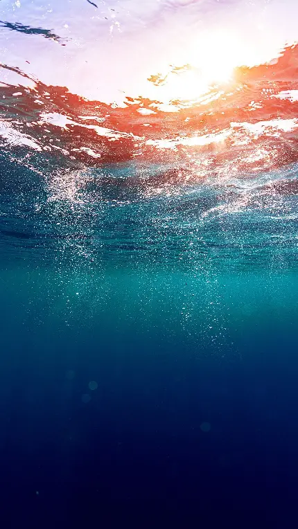 دانلود والپیپر زیر آب اقیانوس Underwater Sea برای اندروید