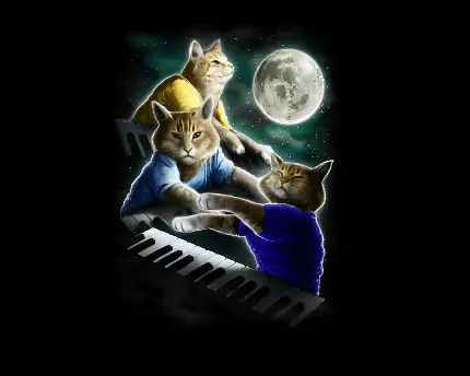 تصویر جالب از گربه های پیانو زن و هنرمند 