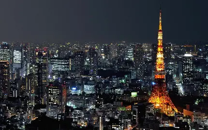 عكس شبانه شگفت انگیز از شهر توكیو و برج مخابراتی معروف توکیو واقع در پارک شیبا