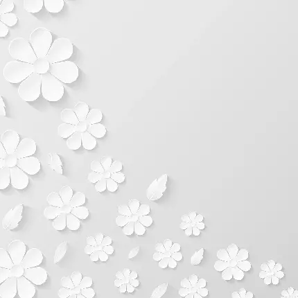 بک گراند سفید تولد