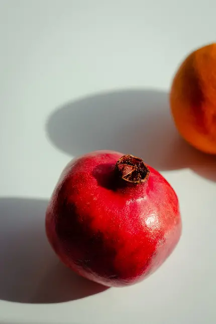 عکس انار نقاشی