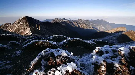 عکس منظره بسیار زیبا از برف های کوهستانی با گیاهان یخ زده در فصل زمستان