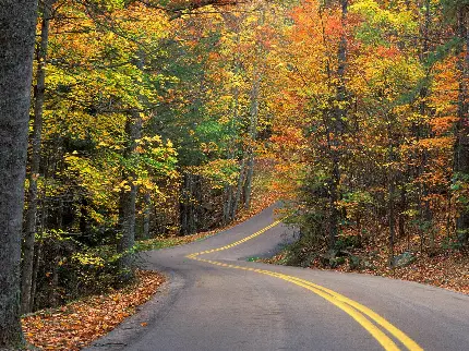 دانلود عکس بدون متن پاییز برای پروفایل دخترانه و پسرانه