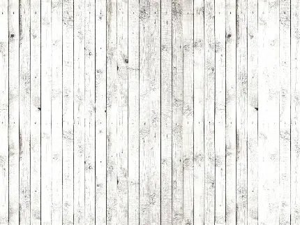 بک گراند سفید کیوت