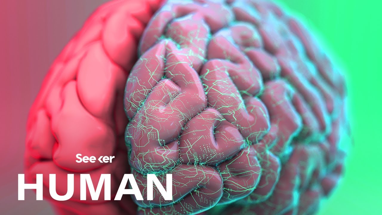 عکس مغز انسان برای پروفایل متخصص مغز و اعصاب