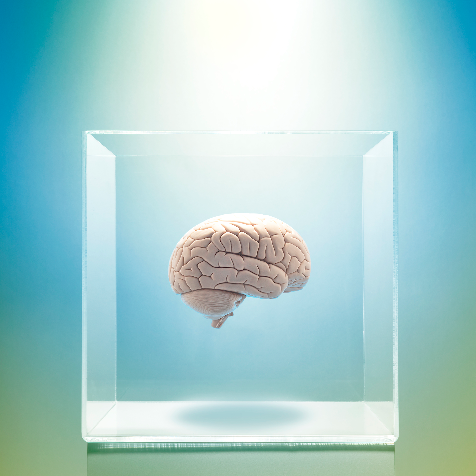 عکس مغز انسان برای طراحی