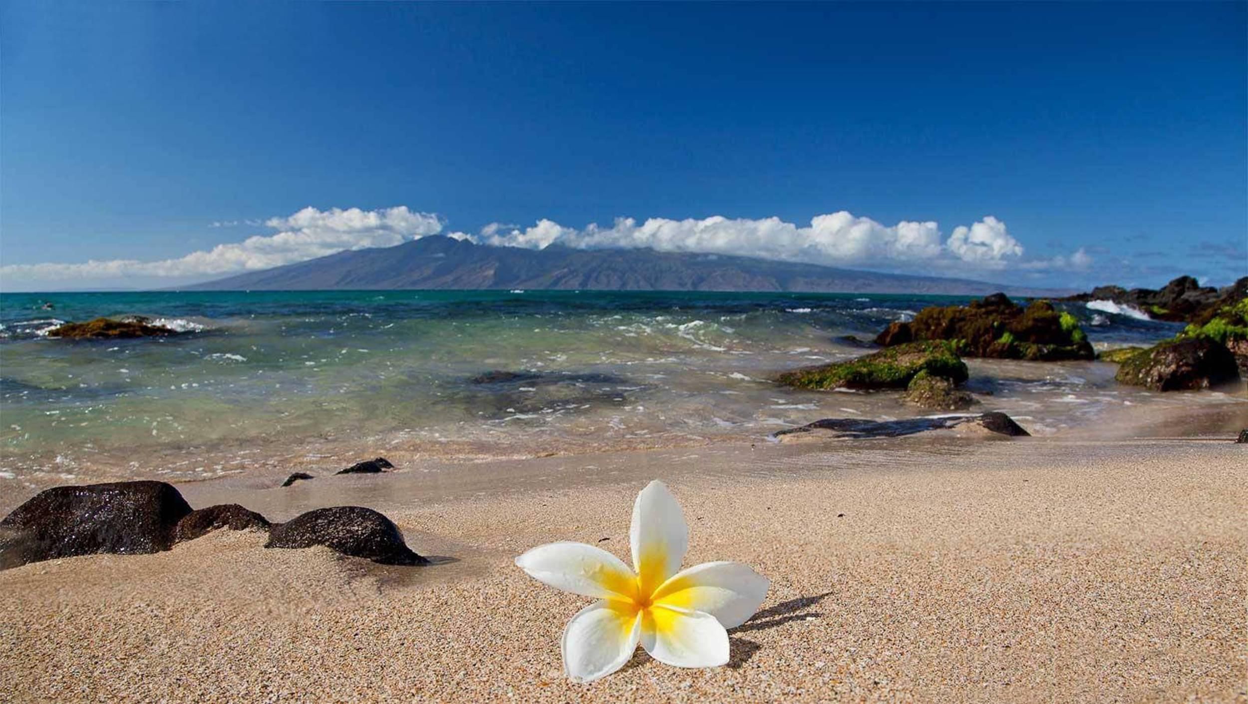 عکس از سواحل هاوایی برای پروفایل